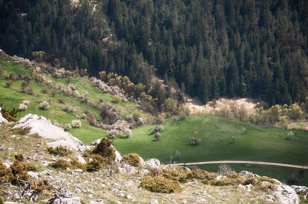 Вила Здравец Jagodina Zewnętrze zdjęcie