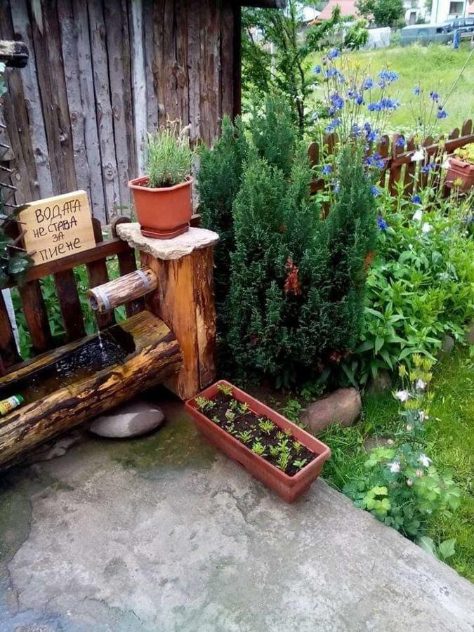 Вила Здравец Jagodina Zewnętrze zdjęcie